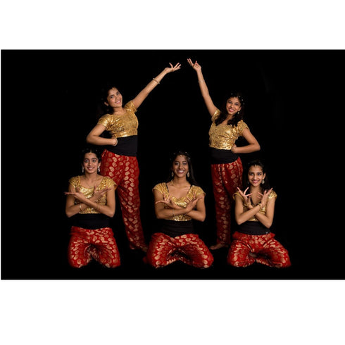 Red With Gold Fancy Dance Costume